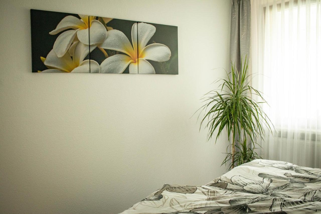 Ferienwohnung Am Schlosspark Ebersdorf  외부 사진